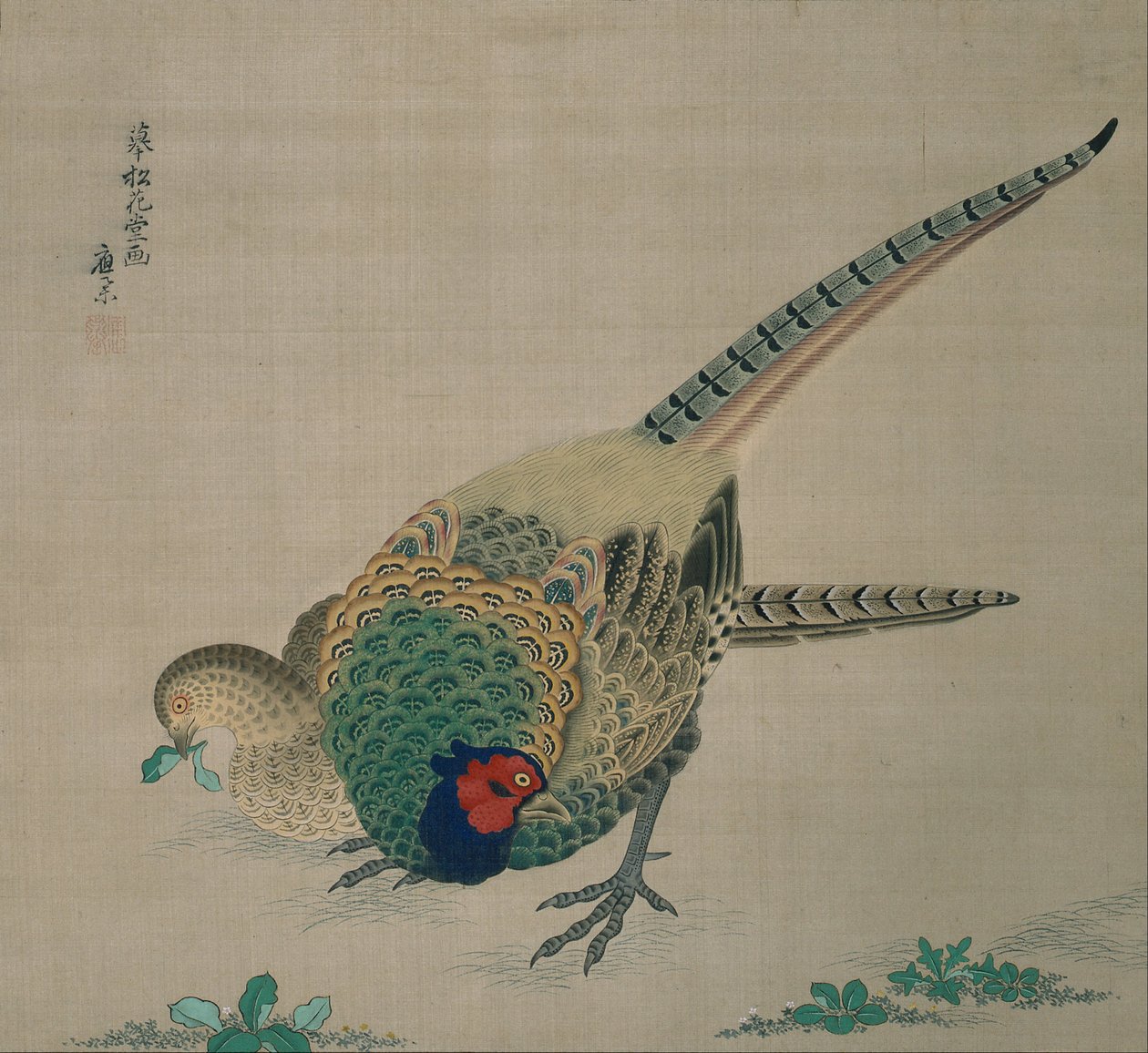 Pergamino colgante (par de faisanes) de Maruyama Okyo