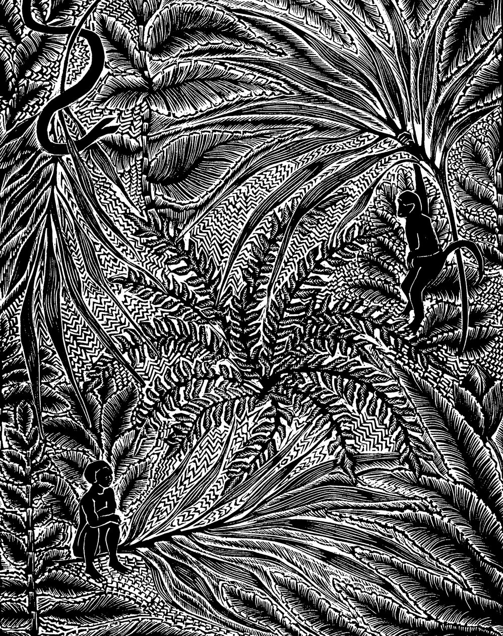 Selva de Mary Kuper