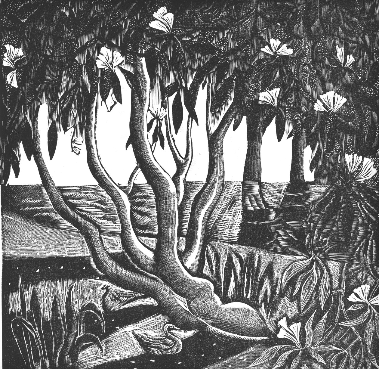 Rododendros, Holland Park, 2006 (grabado en vinilo) de Mary Kuper
