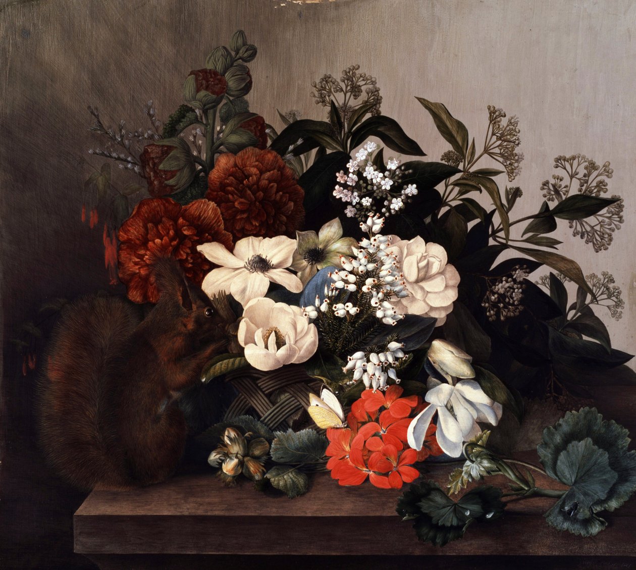 Naturaleza muerta con ardilla y geranios. Pintura de Mary Lawrence (nacida en el siglo XVIII) Colección particular. de Mary Lawrence