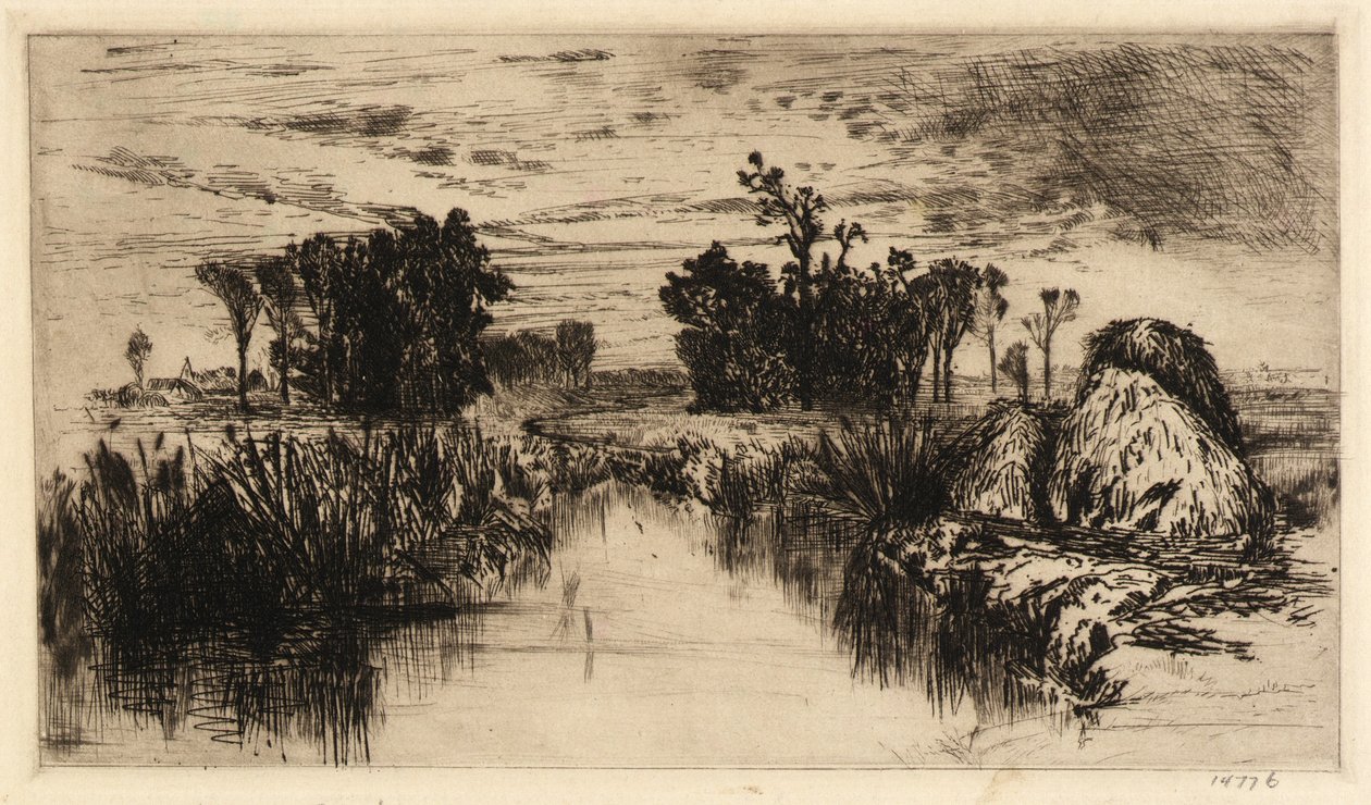 Eneas y árboles de Mary Nimmo Moran