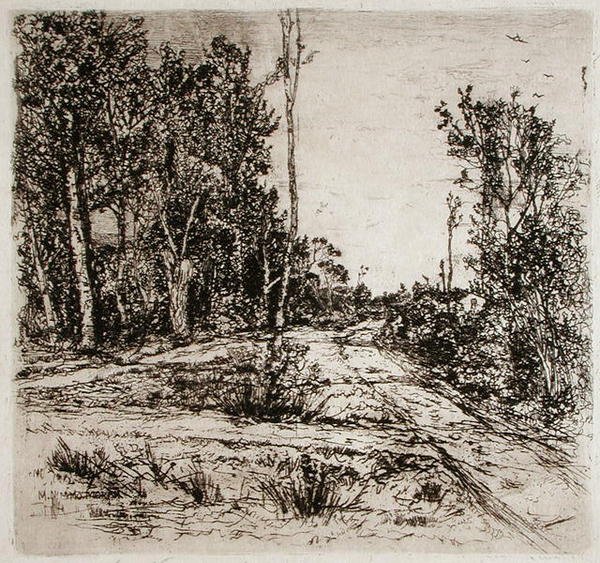Caminos divergentes de Mary Nimmo Moran