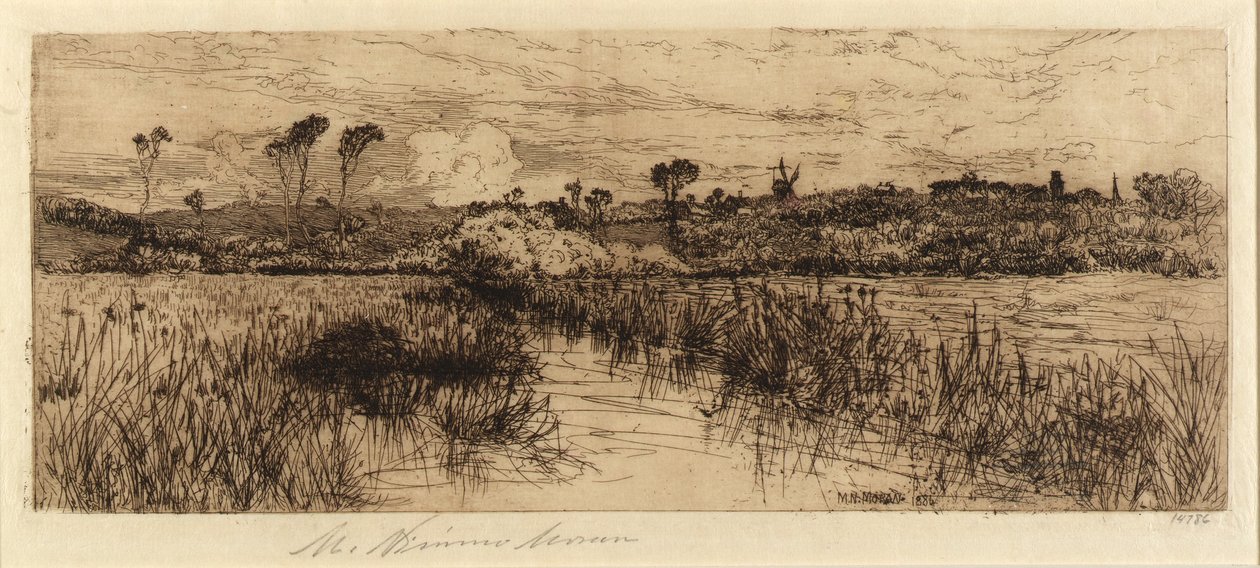 Hogar de la rata almizclera de Mary Nimmo Moran