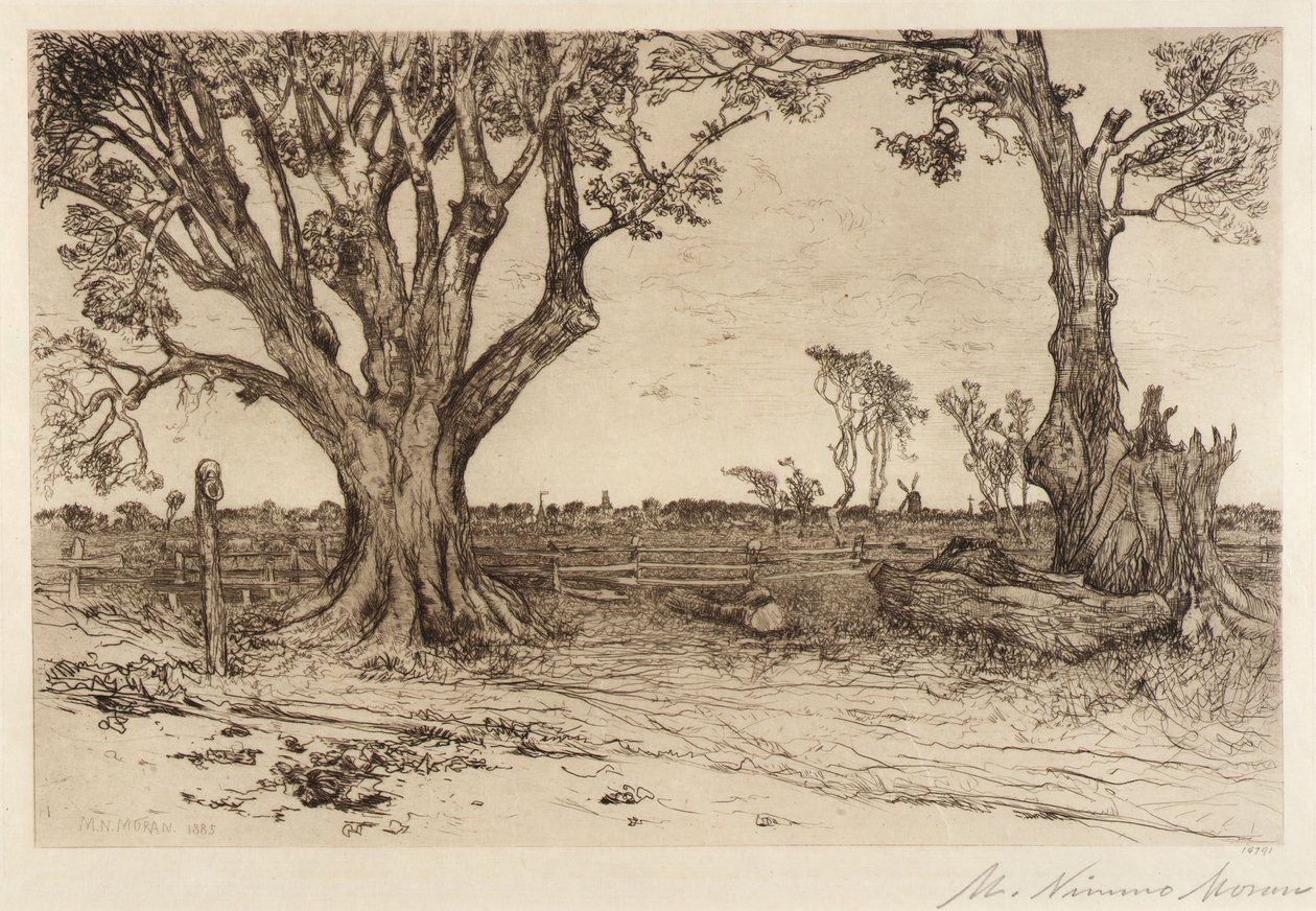 Old Lindens--Cerca de Easthampton de Mary Nimmo Moran
