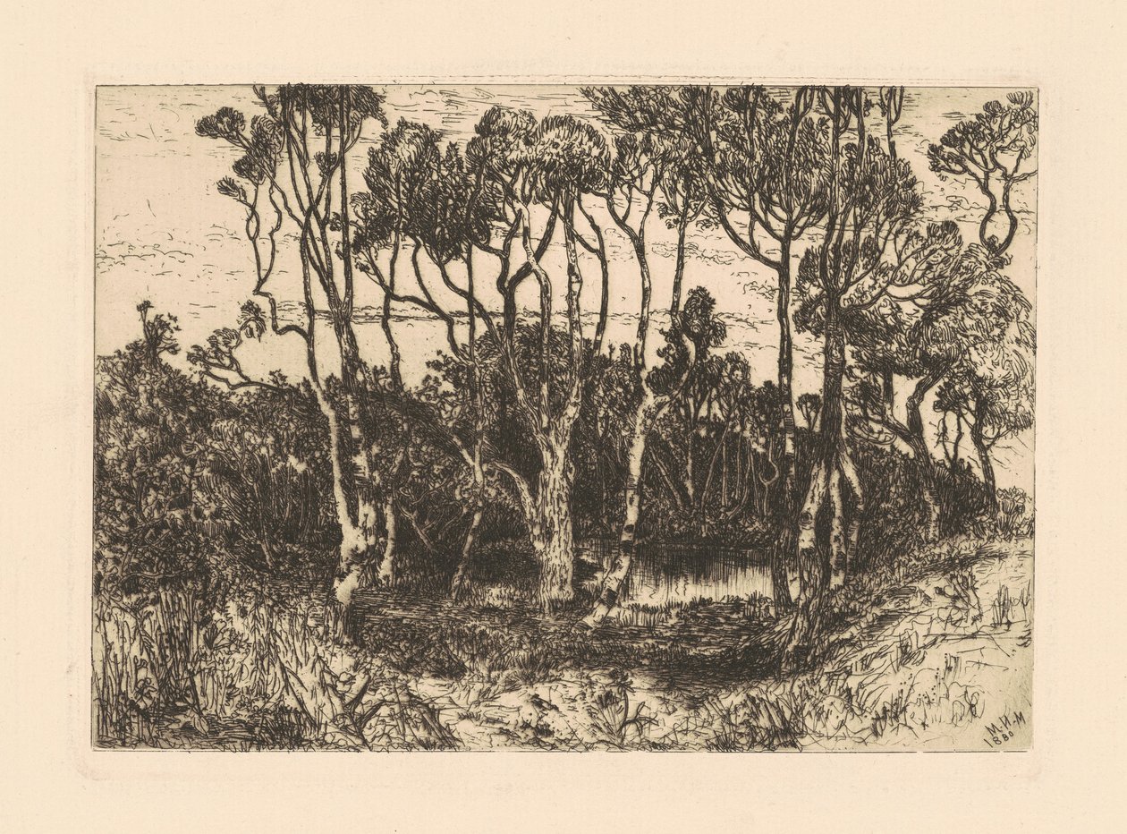 Soledad de Mary Nimmo Moran