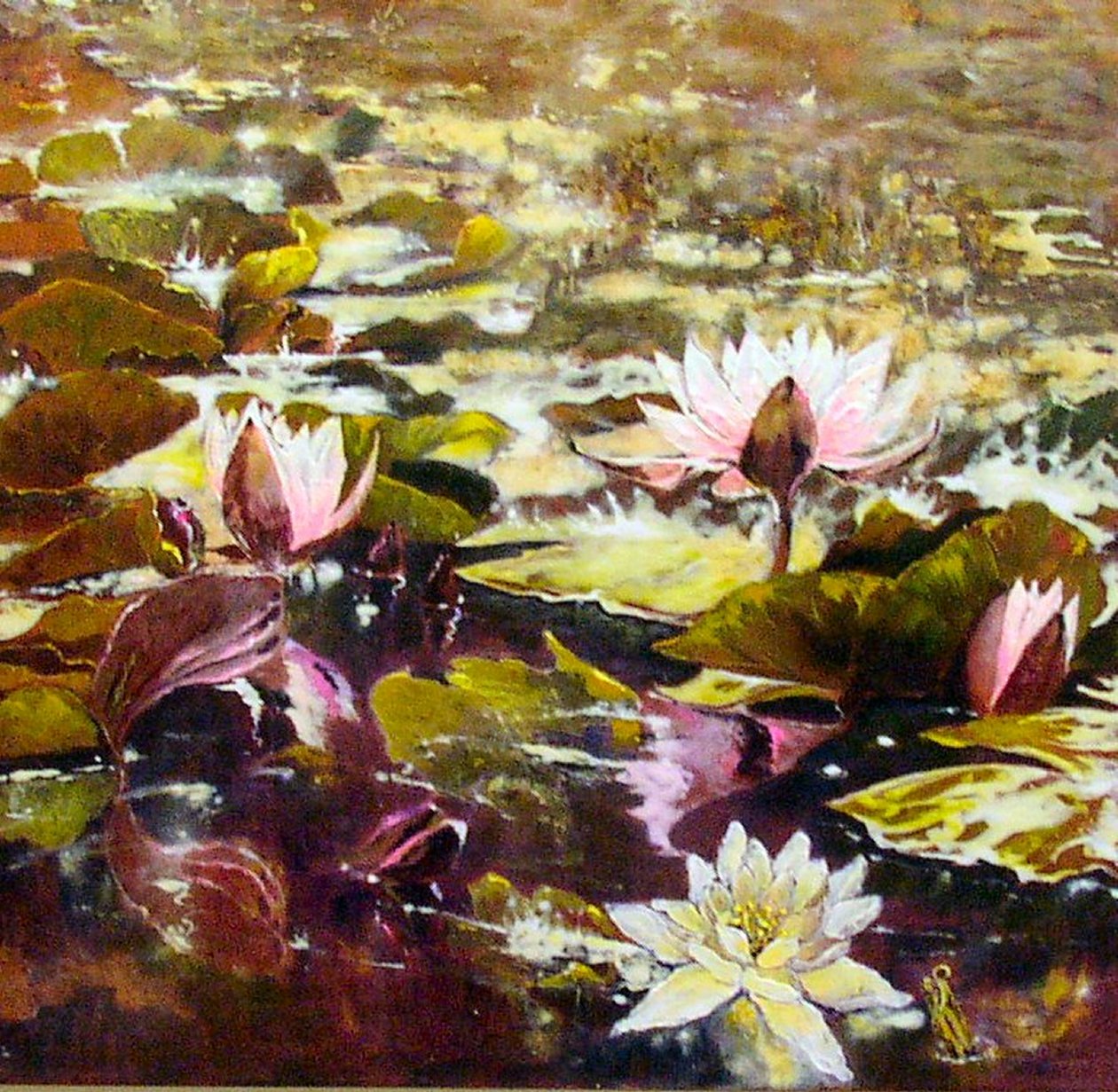 Lirios en jardines de Melbourne de Mary Smith