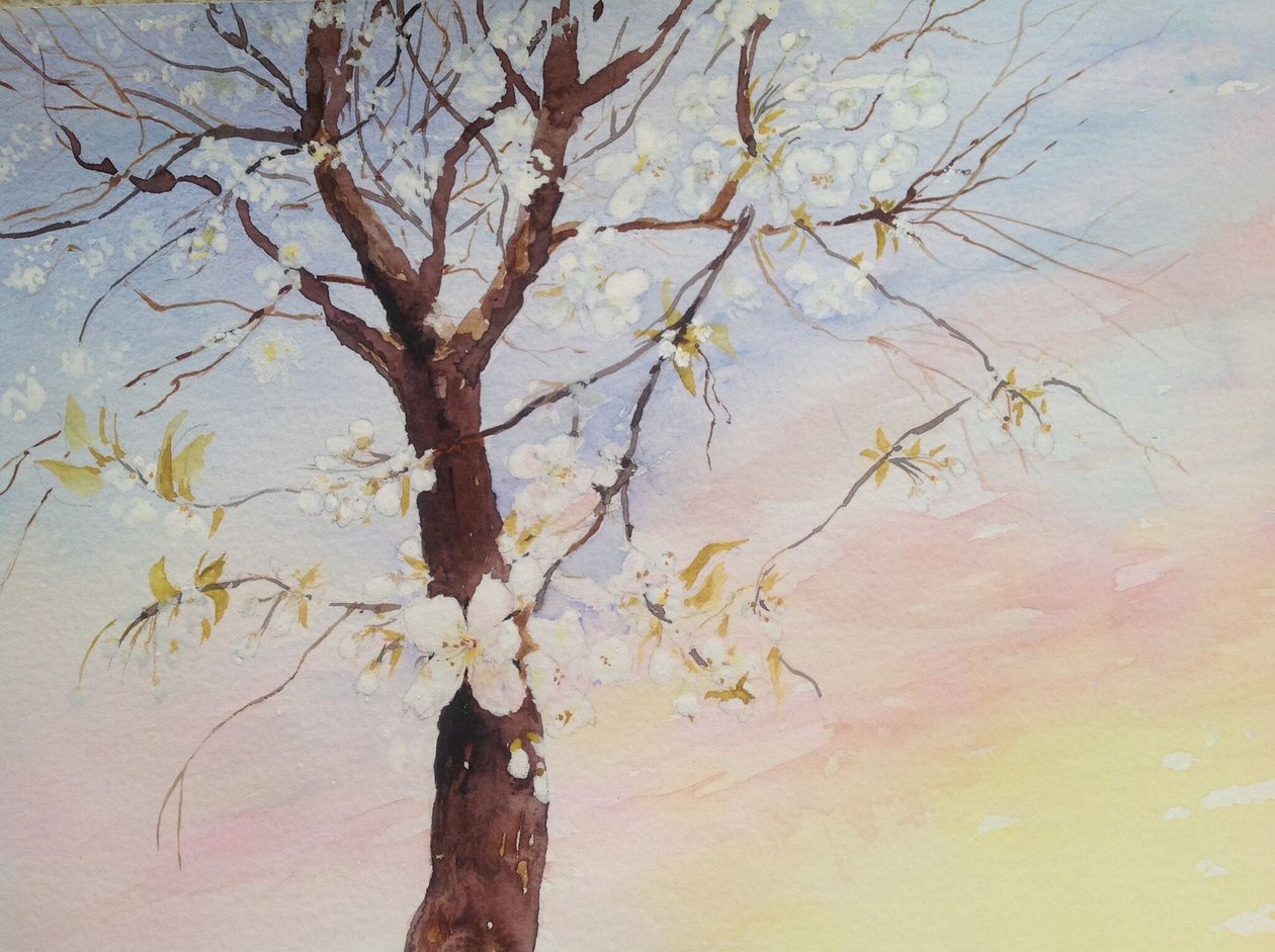 flor de cerezo blanco de Mary Smith