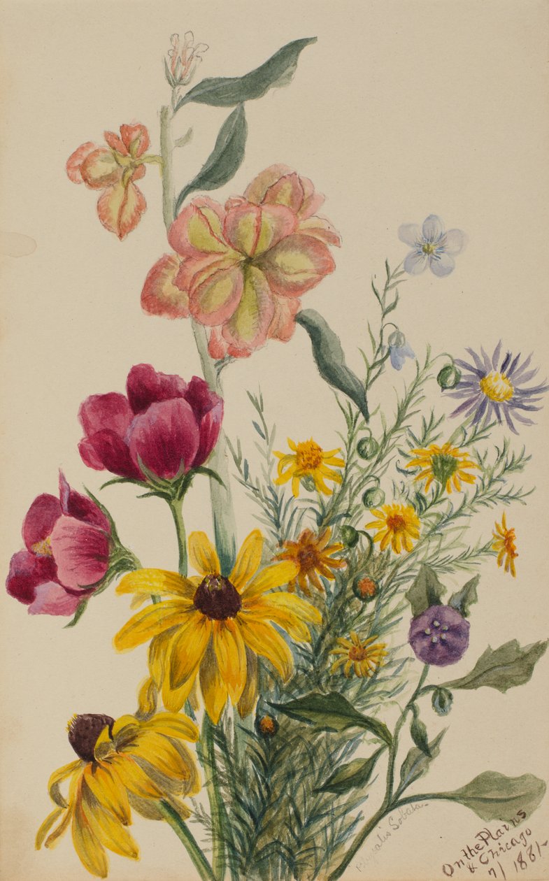 Grupo de flores, 1881 de Mary Vaux Walcott