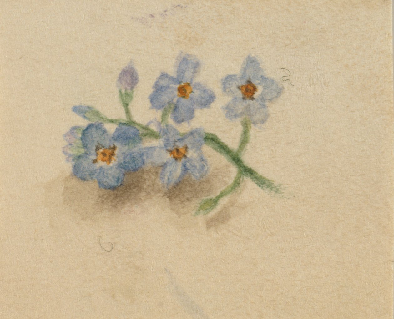 Sin título, 1874 de Mary Vaux Walcott