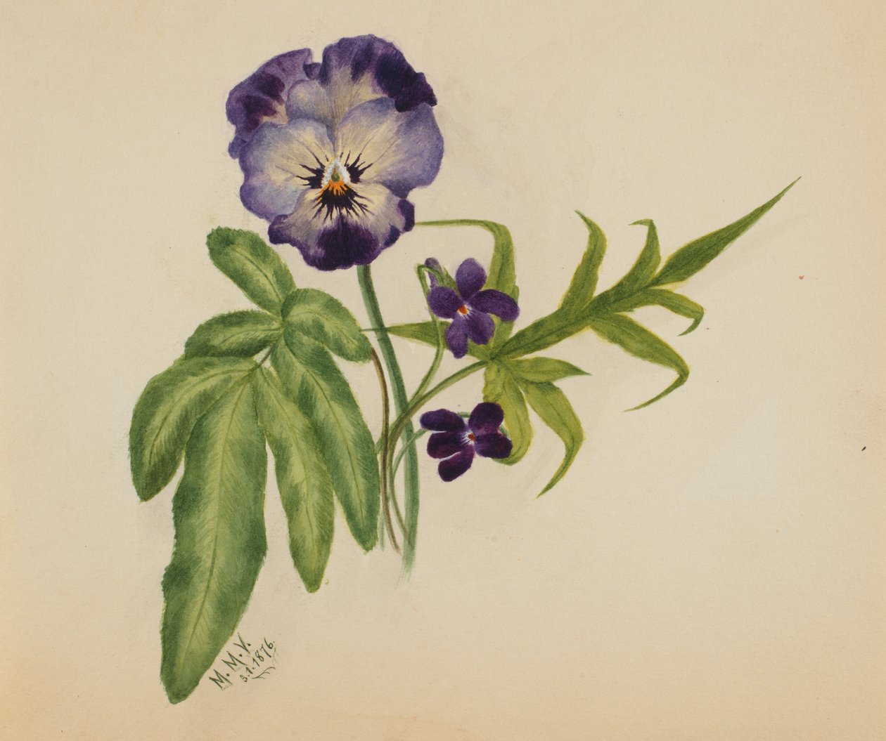 Sin título Pensamiento, 1876 de Mary Vaux Walcott
