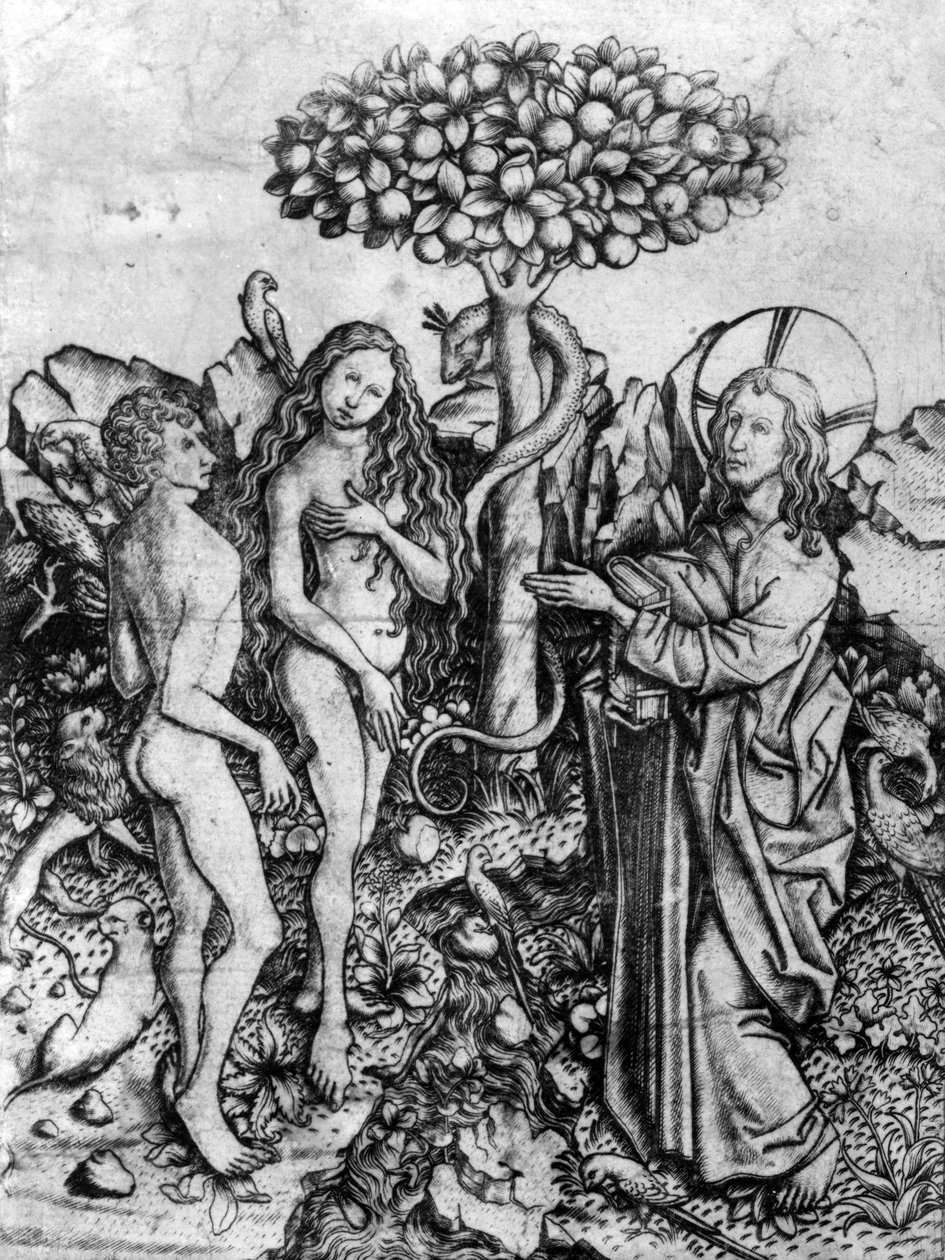 La Caída de la Humanidad, c.1450-67 de Master E. S.