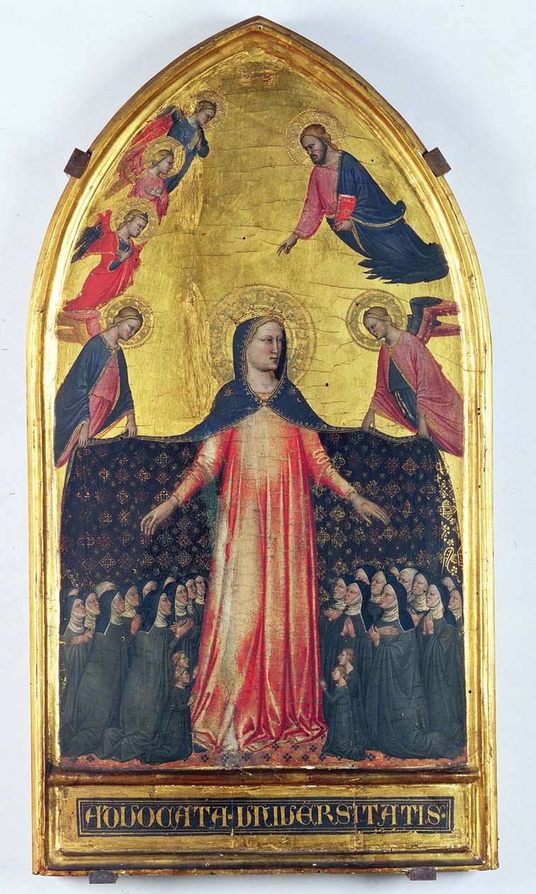 Madonna de la Misericordia de Master of the Accademia Madonna