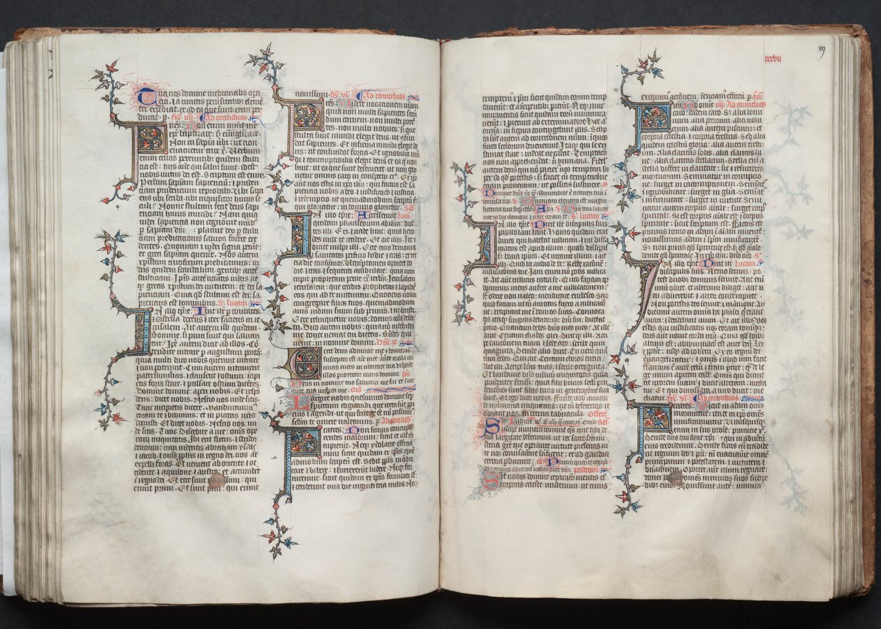 El misal de Gotha: Fol. 88v, Texto de Master of the Boqueteaux