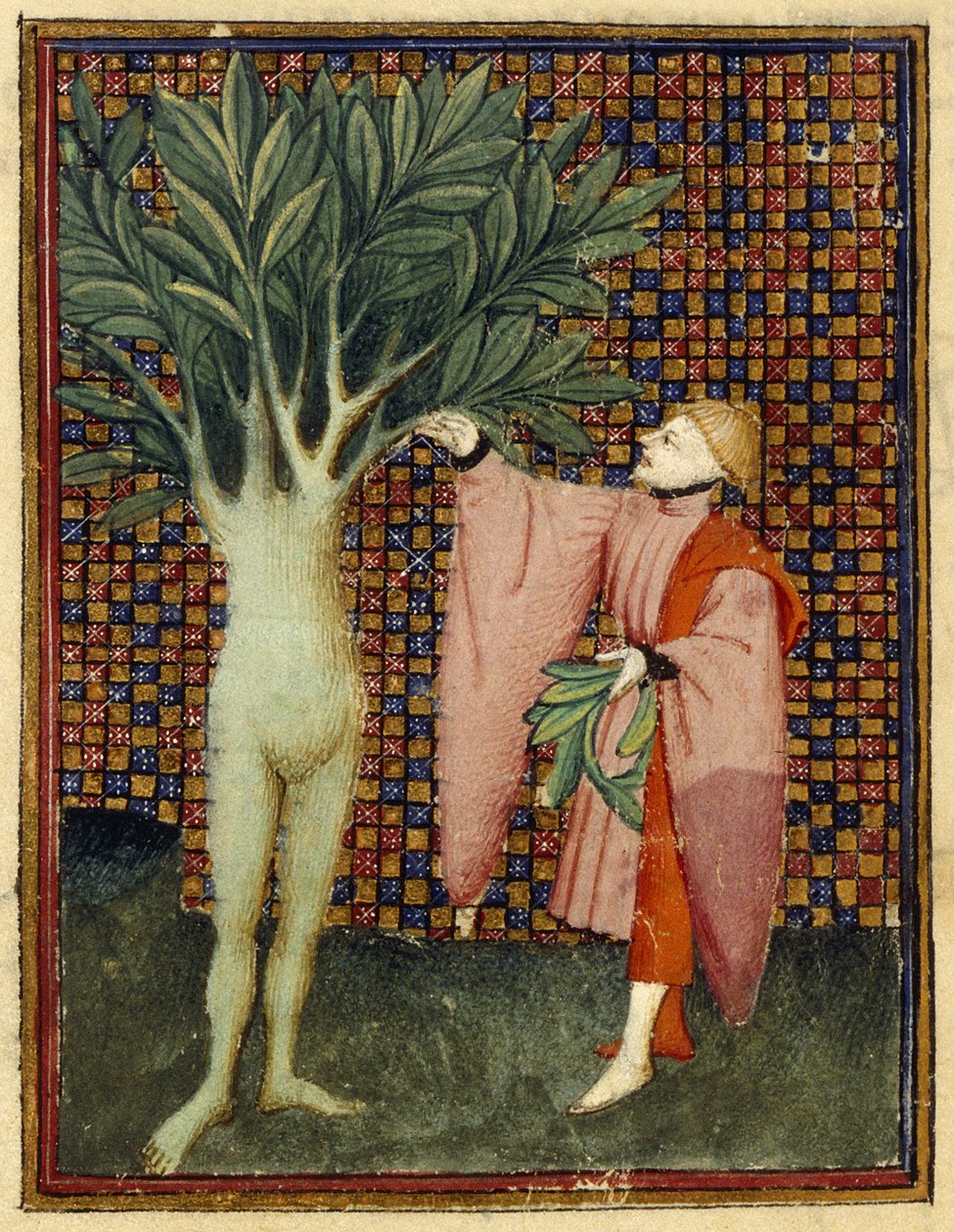 Apolo y Dafne de Master of the Cité des Dames