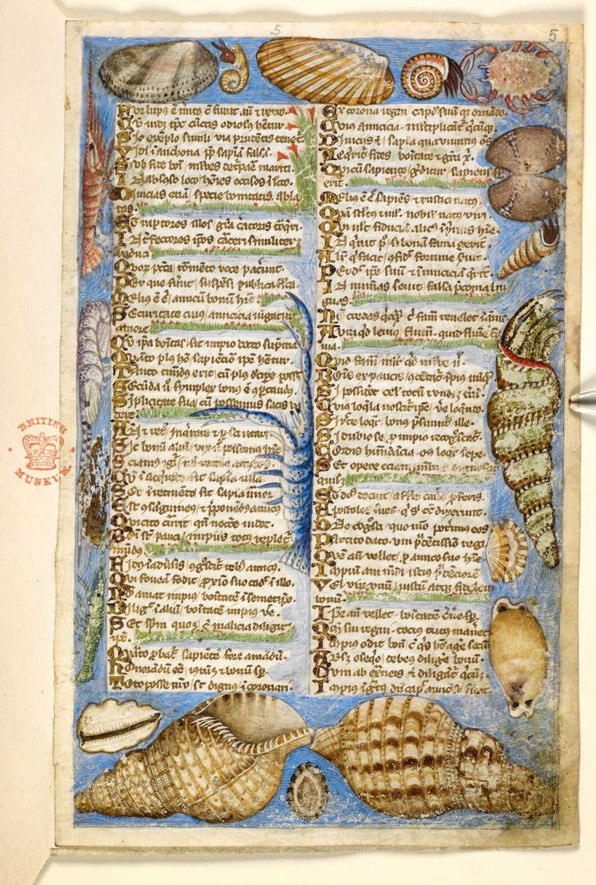 Agregar. 28841, f.5: Conchas y criatura marina, de un Tratado sobre las virtudes y los vicios, y una historia anónima en prosa de Sicilia (fragmento), c.1330-40 (vitela) de Master of the Cocharelli Codex
