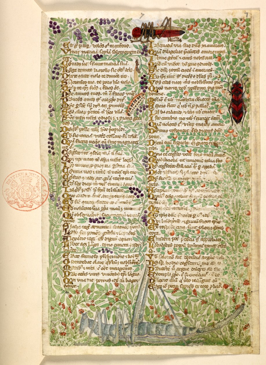 Agregar. 28841, f.7, Flores, frutas e insectos, incluidos un saltamontes y una langosta, de un Tratado sobre las virtudes y los vicios, y una historia anónima en prosa de Sicilia (fragmento) de Master of the Cocharelli Codex