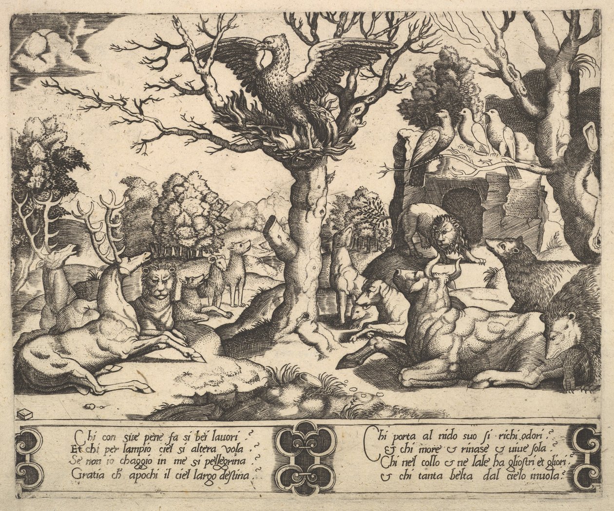 Un fénix sentado en la cima de un árbol, alas abiertas, una variedad de animales abajo, 1530-60 de Master of the Die