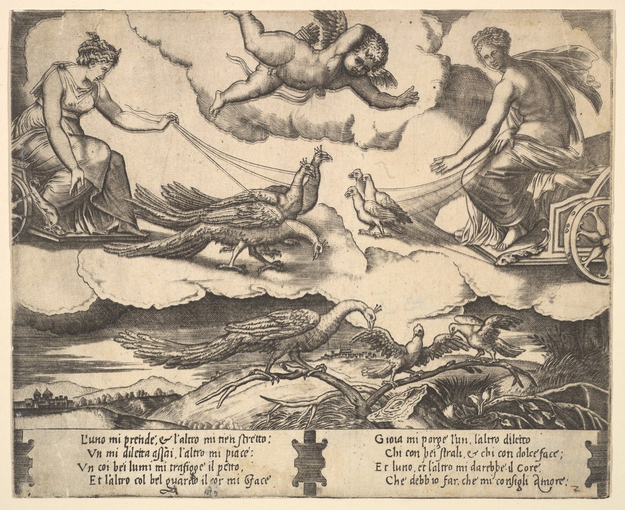 Alegoría del matrimonio y el amor, Juno en un carro tirado por pavos reales a la izquierda, Venus en un..., 1530-60 de Master of the Die