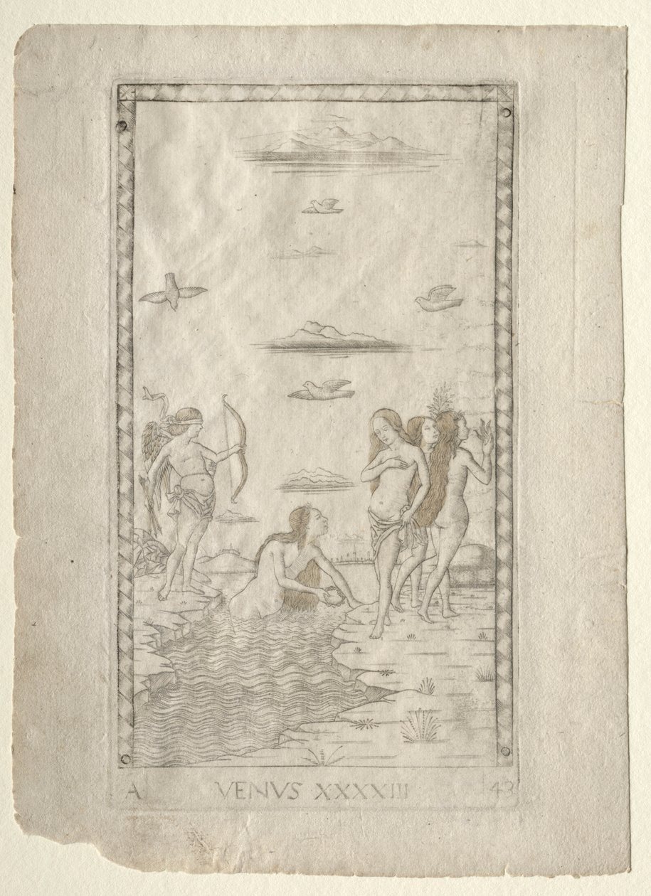 Venus de los Tarocchi, serie A: Firmamentos del Universo, #43, antes de 1467 de Master of the E Series Tarocchi