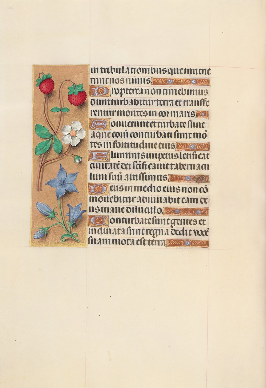 Horas de la Reina Isabel la Católica, Reina de España: Fol. 105v, c. 1500 de Master of the First Prayerbook of Maximillian