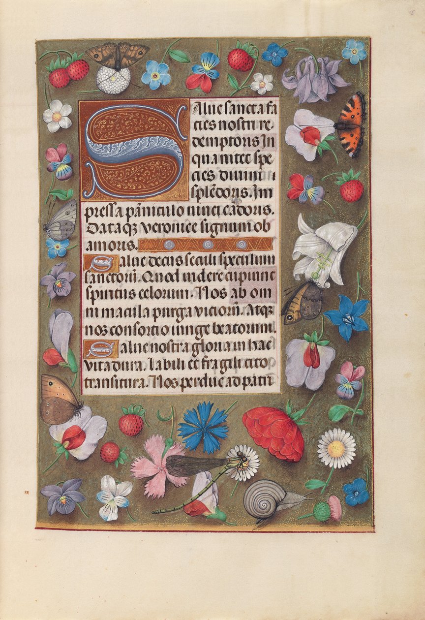 Horas de la Reina Isabel la Católica, Reina de España: Fol. 15r, c. 1500 de Master of the First Prayerbook of Maximillian