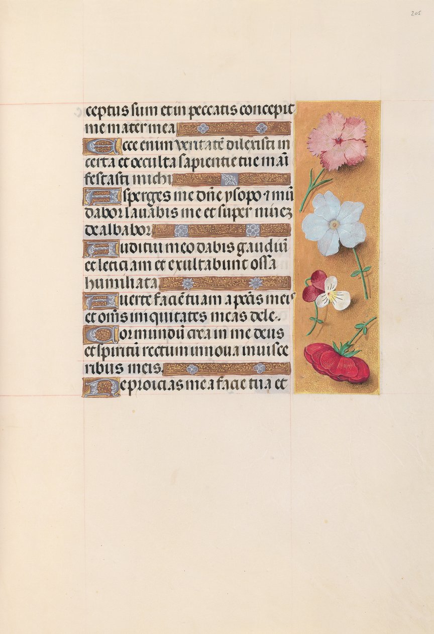 Horas de la reina Isabel la Católica, reina de España: Fol. 205r, c. 1500 de Master of the First Prayerbook of Maximillian