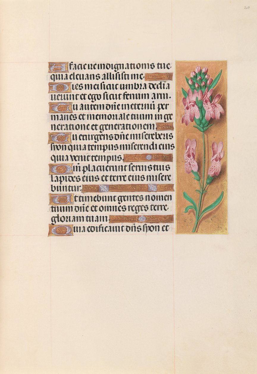 Horas de la Reina Isabel la Católica, Reina de España: Fol. 207r, c. 1500 de Master of the First Prayerbook of Maximillian