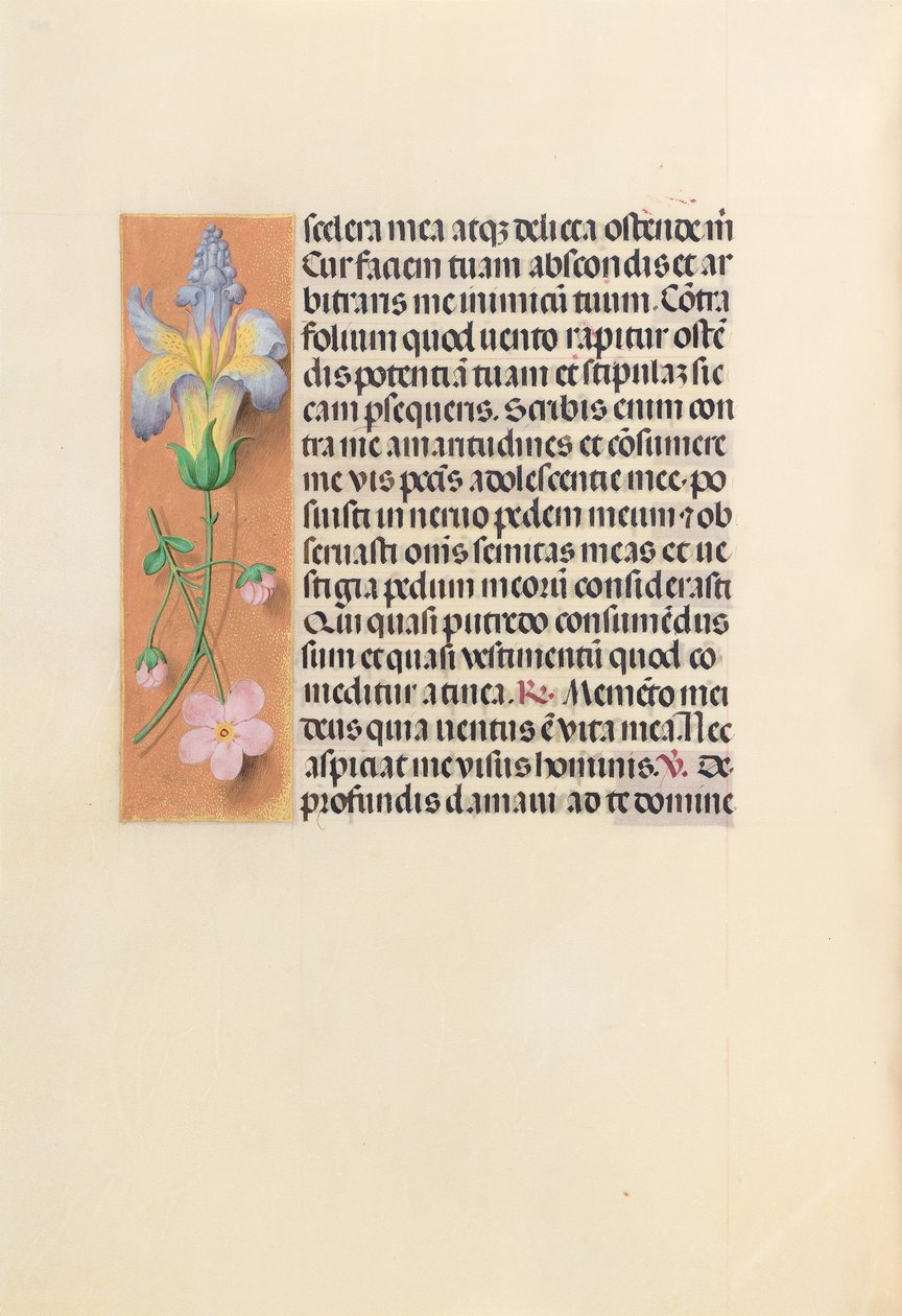 Horas de la Reina Isabel la Católica, Reina de España: Fol. 237v, c. 1500 de Master of the First Prayerbook of Maximillian