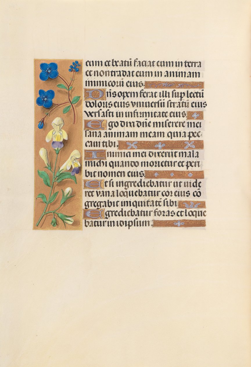 Horas de la Reina Isabel la Católica, Reina de España: Fol. 241v, c. 1500 de Master of the First Prayerbook of Maximillian