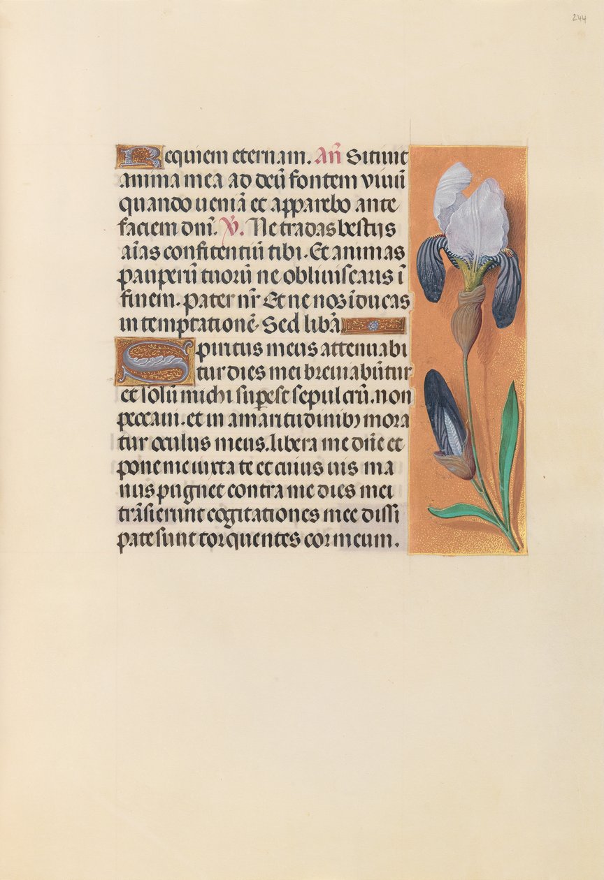 Horas de la Reina Isabel la Católica, Reina de España: Fol. 244r, c. 1500 de Master of the First Prayerbook of Maximillian