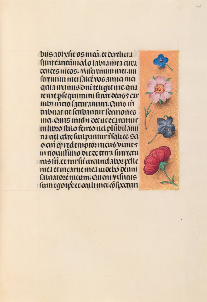 Horas de la Reina Isabel la Católica, Reina de España: Fol. 245r, c. 1500 de Master of the First Prayerbook of Maximillian