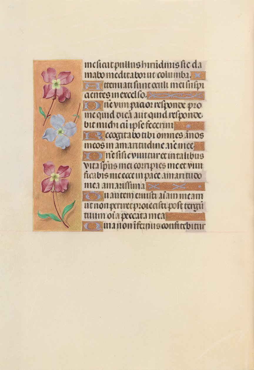 Horas de la Reina Isabel la Católica, Reina de España: Fol. 251v de Master of the First Prayerbook of Maximillian