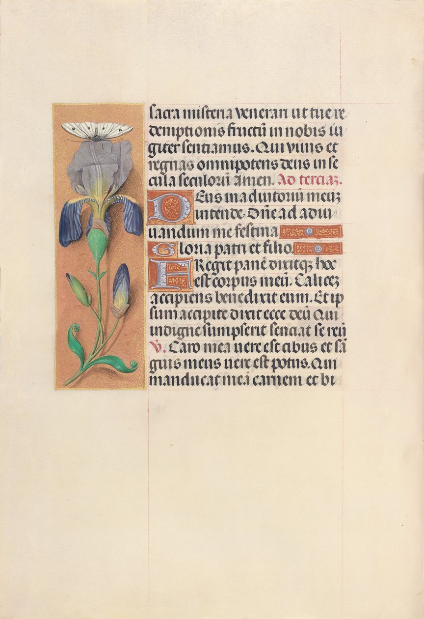 Horas de la Reina Isabel la Católica, Reina de España: Fol. 45v, c. 1500 de Master of the First Prayerbook of Maximillian