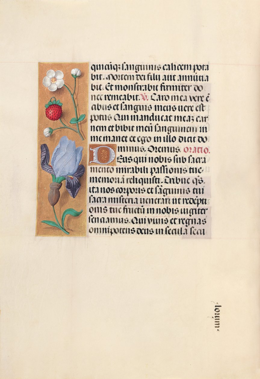 Horas de la Reina Isabel la Católica, Reina de España: Fol. 46v, c. 1500 de Master of the First Prayerbook of Maximillian