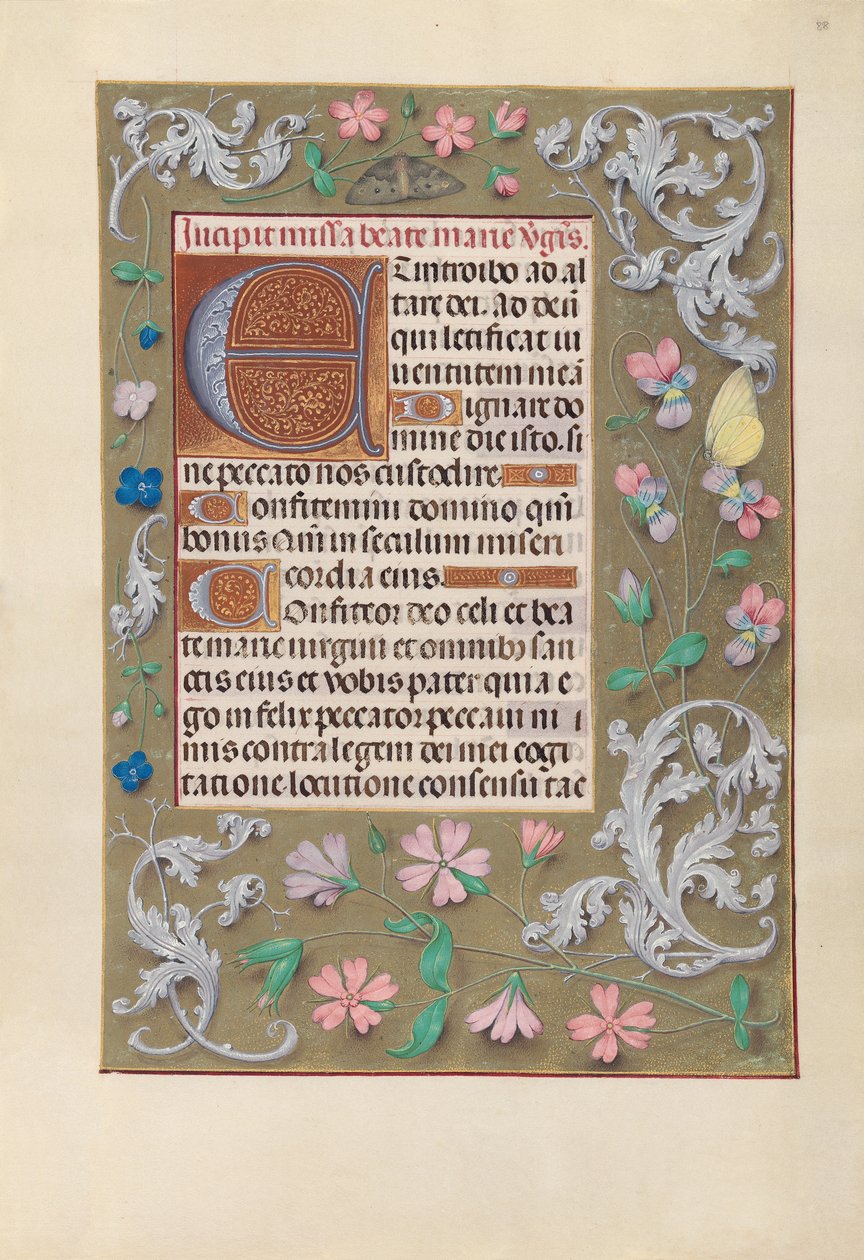 Horas de la Reina Isabel la Católica, Reina de España: Fol. 88r de Master of the First Prayerbook of Maximillian
