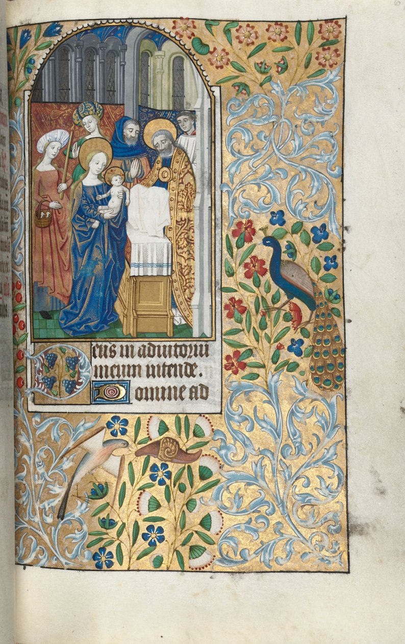 Libro de Horas Uso de Rouen: fol. 67r, Presentación del Niño Jesús en el Templo, c. 1470 de Master of the Geneva Latini