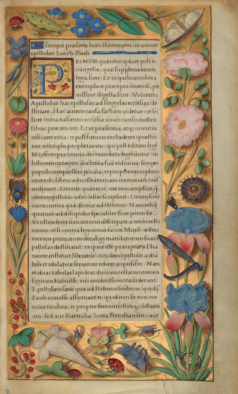 Página de texto decorada de Master of the Getty Epistles