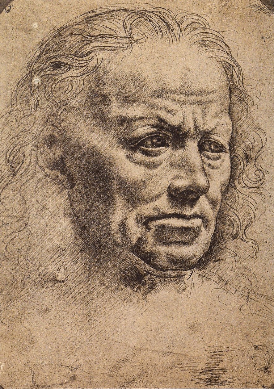 Cabeza de un hombre de Master of the Pala Sforzesca