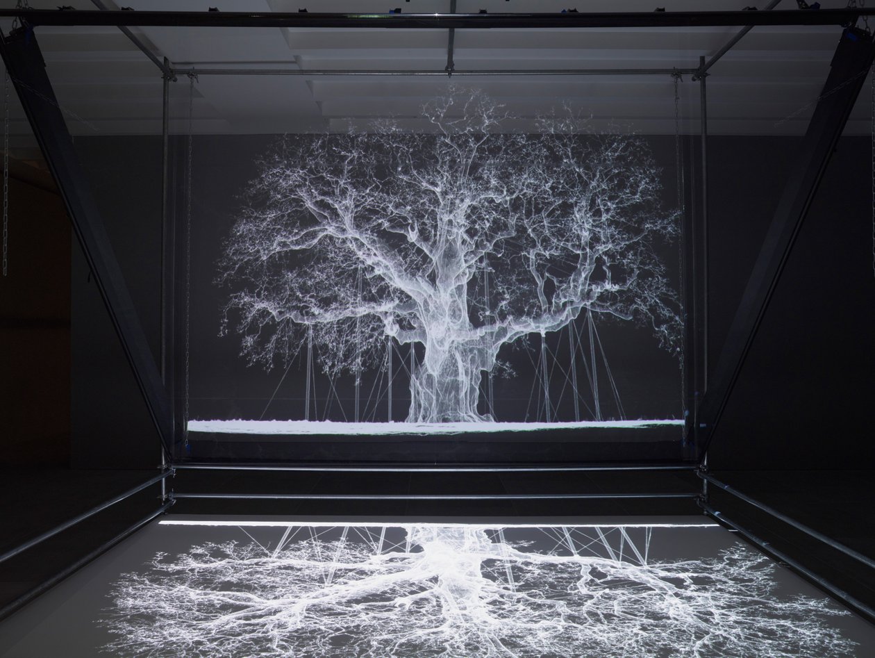 Albion, 2017 (Proyector, reproductor multimedia, andamio, película transparente, madera, pintura, espejo, accesorios de estiramiento) de Mat Collishaw