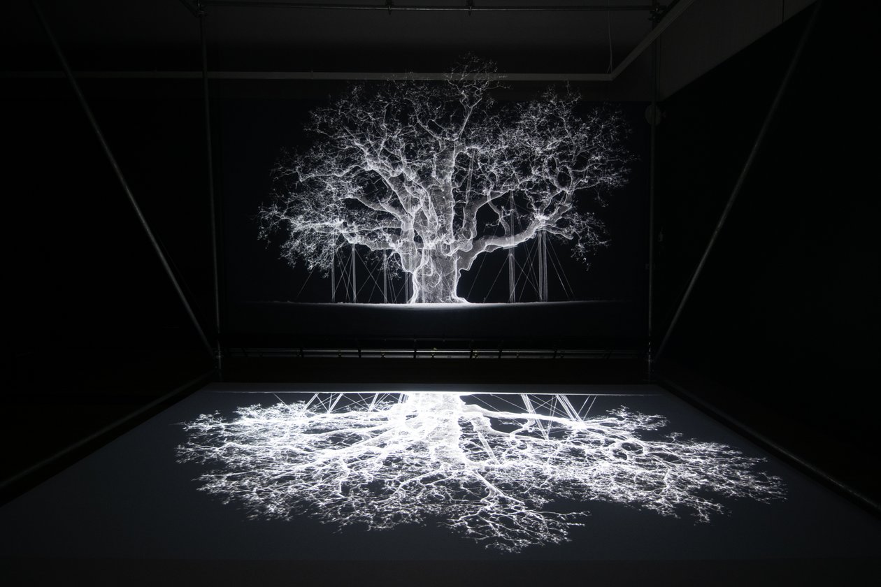 Albion, en la exposición "Petrichor" de Mat Collishaw en Kew Gardens, Londres, 2023 (foto) de Mat Collishaw