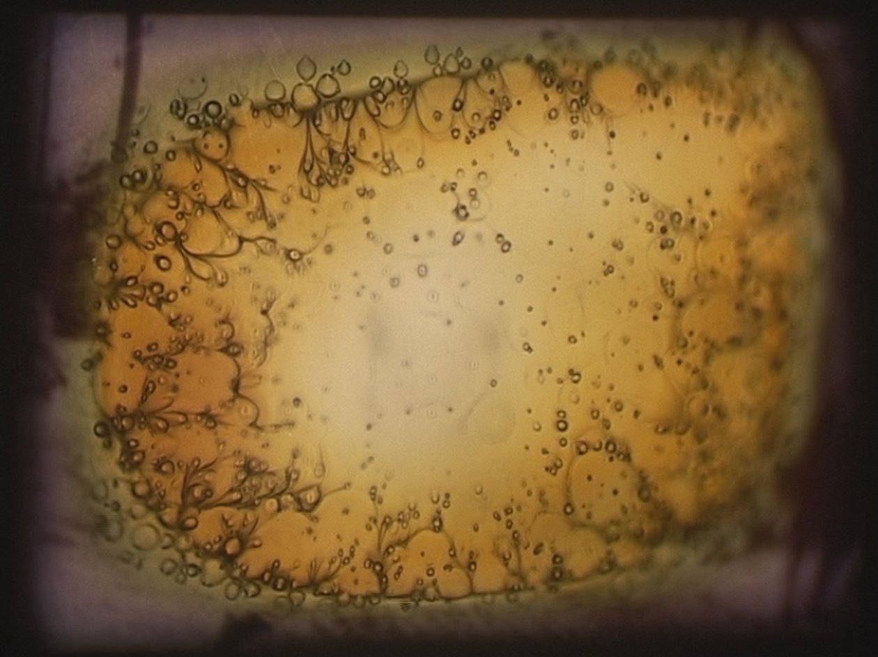 Barbarroja, 2002 (Proyector de vídeo y proyector de diapositivas simulado) de Mat Collishaw
