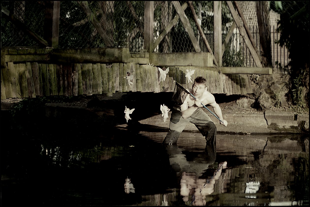 Atrapar hadas 3 de Mat Collishaw