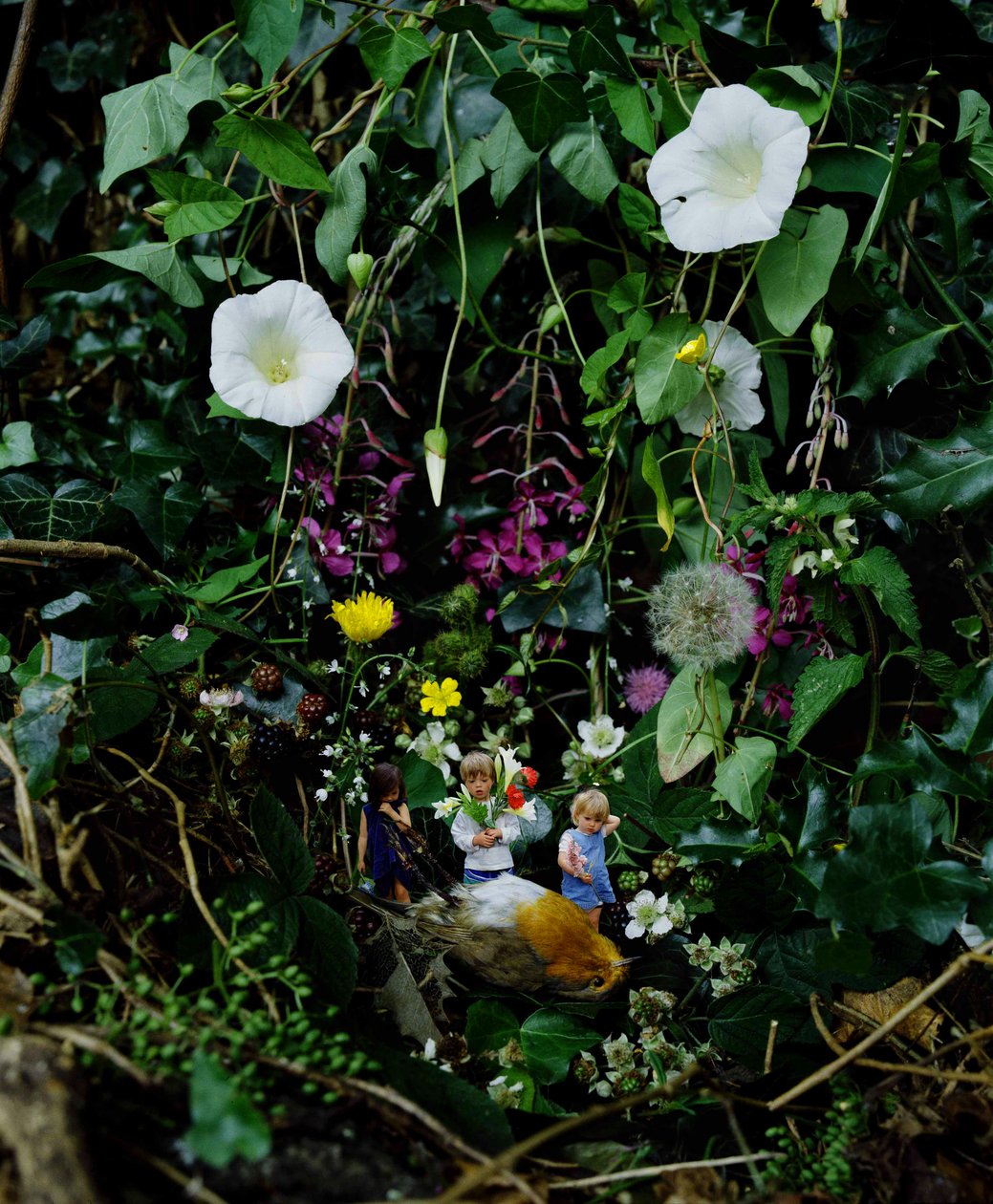 Espíritus libres de impuestos de Mat Collishaw