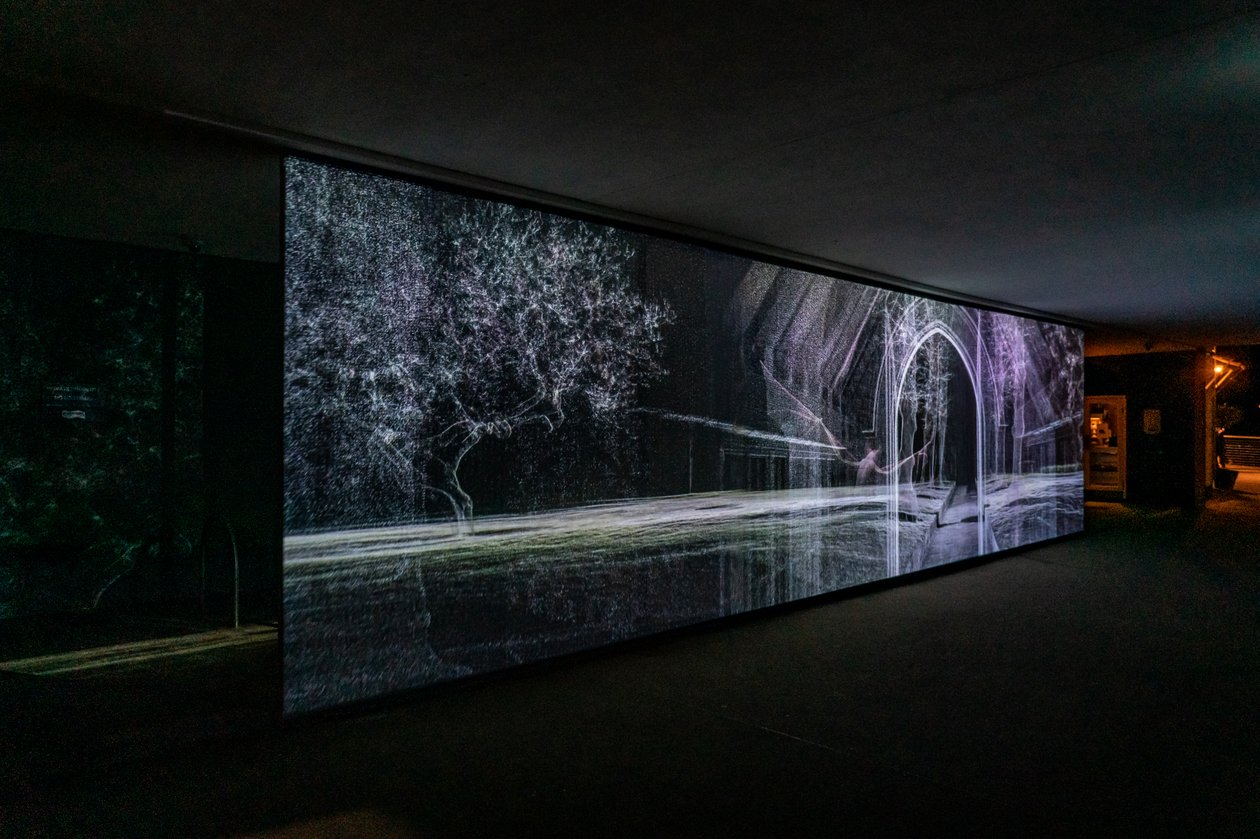 Ecolocalización, 2021 (proyección de vídeo de 3 canales sobre malla de polipropileno) de Mat Collishaw