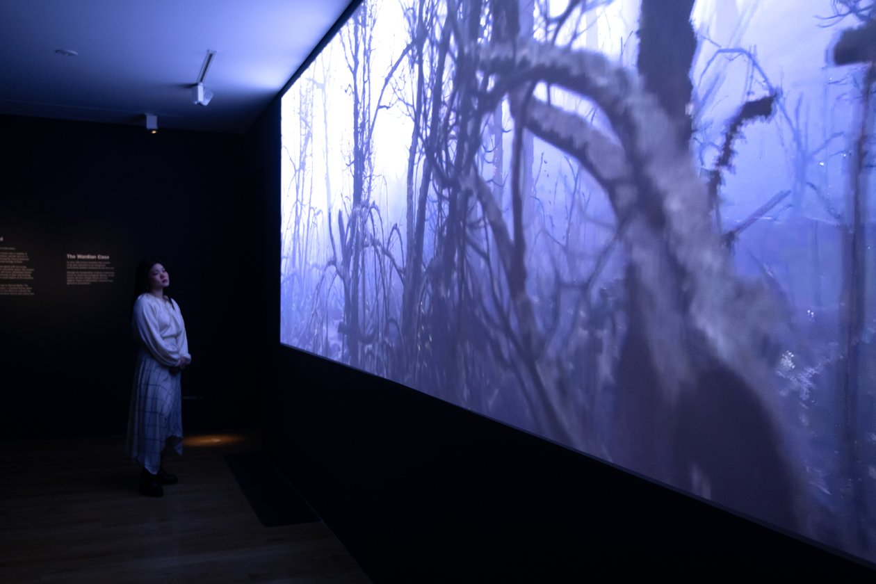 Even to the End, en la exposición "Petrichor" de Mat Collishaw en Kew Gardens, Londres, 2023 (foto) de Mat Collishaw