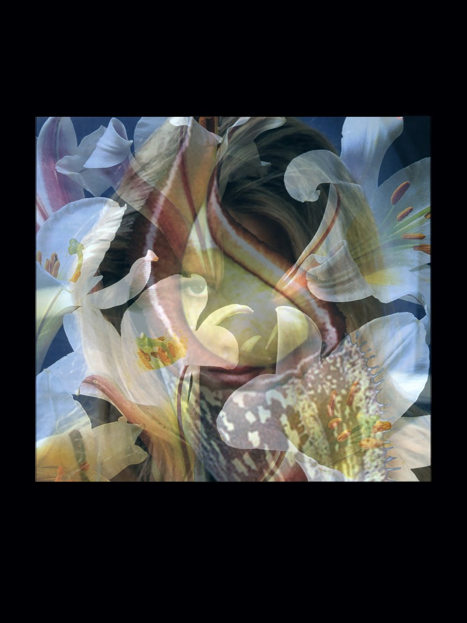 Flesheaters 3 de Mat Collishaw