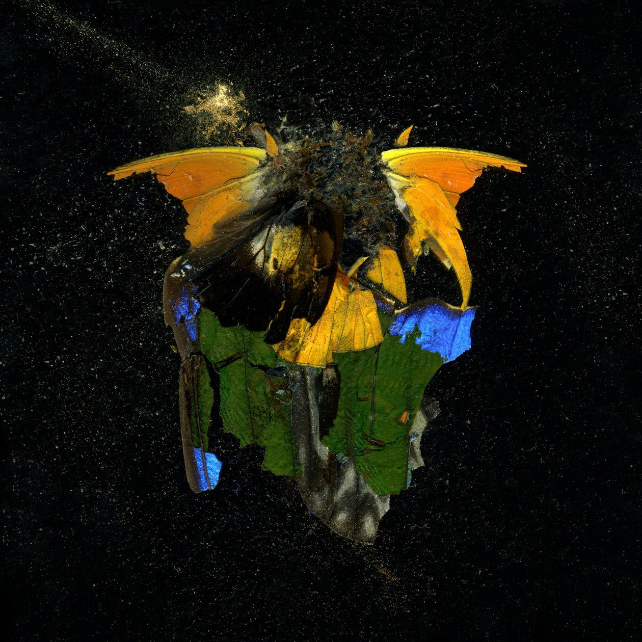 Insecticida 14, 2009 (fotografía tipo C) de Mat Collishaw