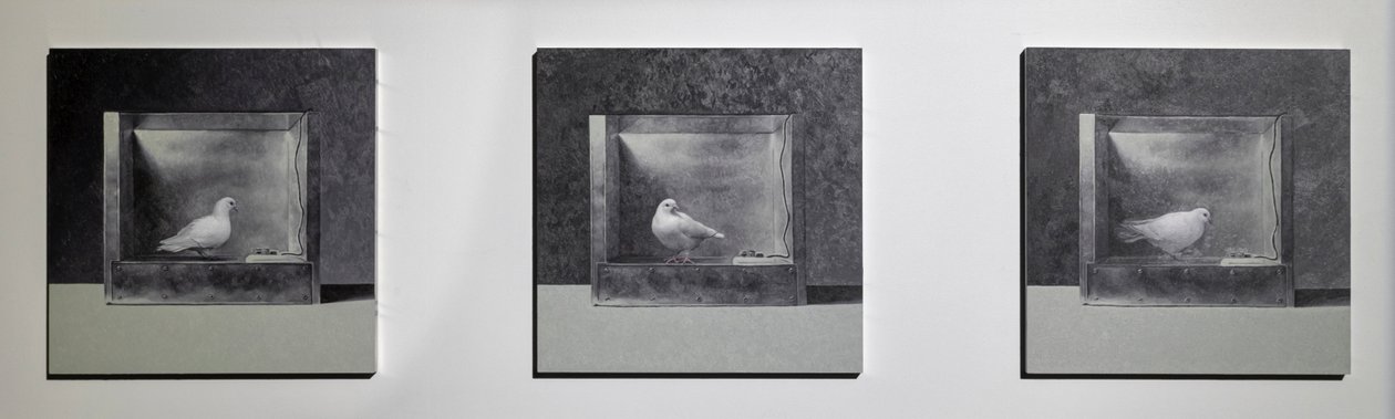 Operant Conditioning Chamber 3, 2022 (Óleo sobre panel de aluminio) de Mat Collishaw