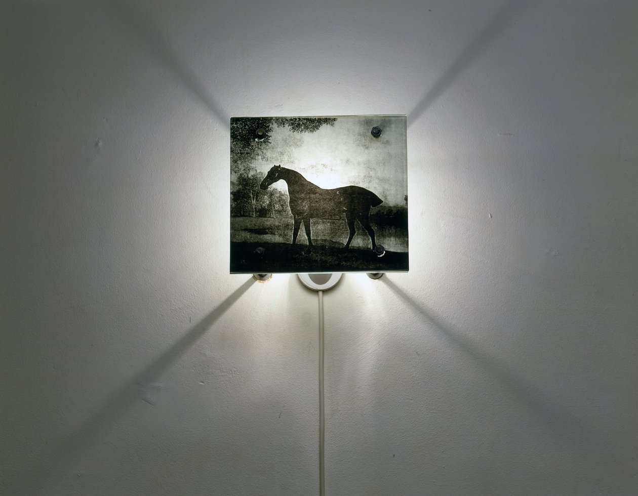 Caballos Stubbs de Mat Collishaw