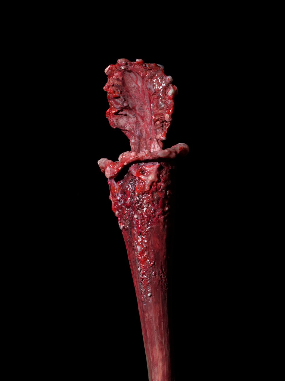 La musa venal, Fenside, 2012 (resina, pintura esmaltada, madera, vidrio, acero) de Mat Collishaw